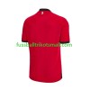 Fußballtrikots Georgia EURO 2024 Kurzarm 3rd trikot kaufen